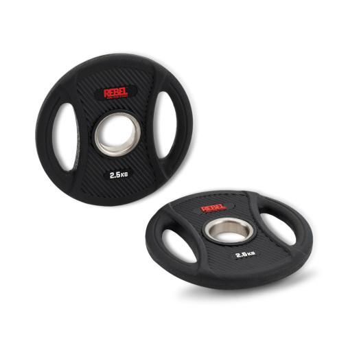 Диск олимпийский обрезиненный с двумя хватами 2,5 кг REBEL